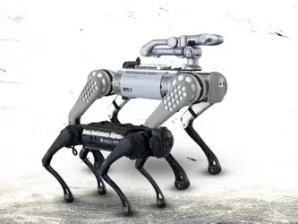 Yapay Zeka ile Uygulamalı Robot Köpek Programlama Kursu